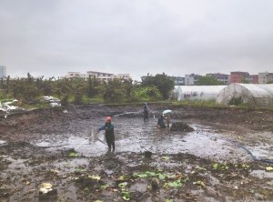 高青河道鱼塘清淤